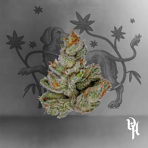 image of Headband