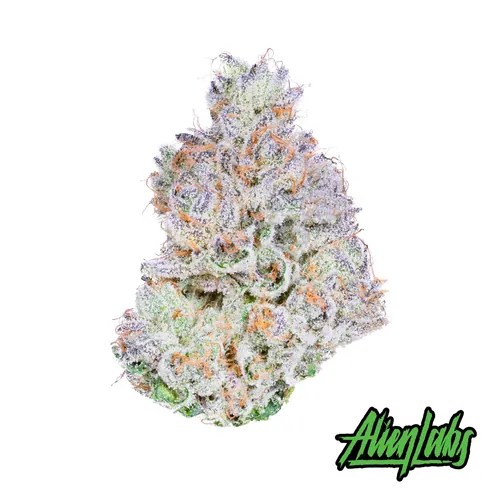 Zangria - Whole Flower 3.5G from  product image