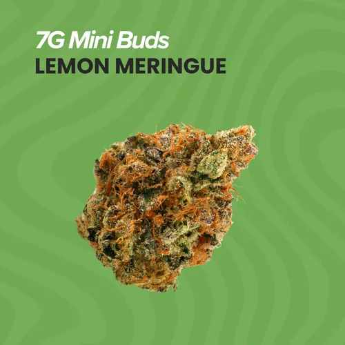 Mini Buds 7g Lemon Meringue