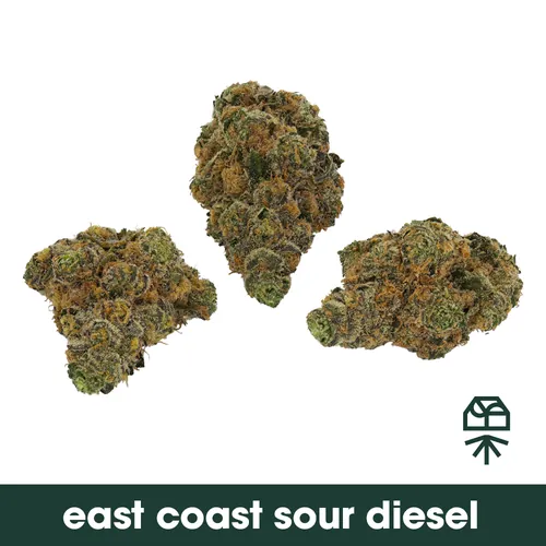  from  product image