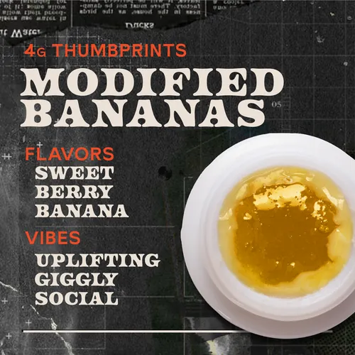 Modified Bananas Live Rosin - 4g Thumbprints Concentrate by Sunburn - 4.000g Live Rosin