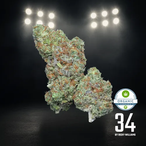 Orange Bowl - 