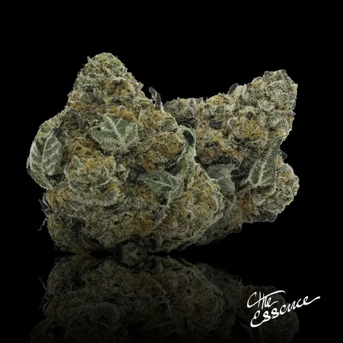 Minty Blizzard by (the) Essence - 3.500g Whole