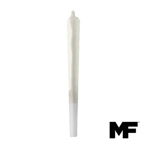 LA Grapes - Single PreRoll 1G by Modern Flower - 1.000g PreRoll