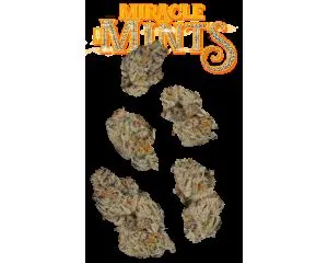 Miracle Mints 7g Juniors - 