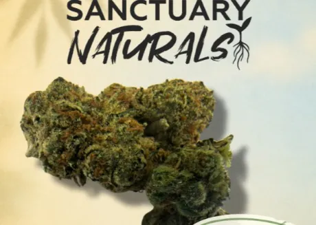 image of Sanctuary Naturals | Grapefruit Punch | 3.5g