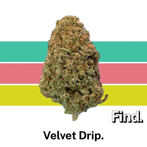 image of Velvet Drip