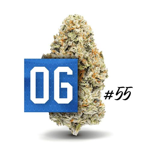 06 OG #55 - Premium Flower - 