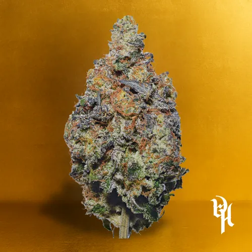 Dogwalker OG - 