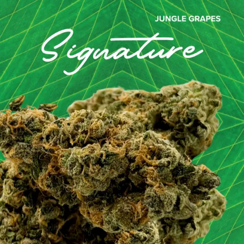 Signature  Jungle Grapes -  cannabis product