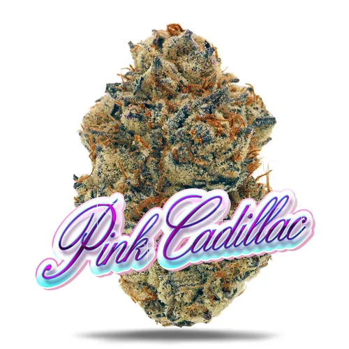 Pink Cadillac - Premium Flower from  product image