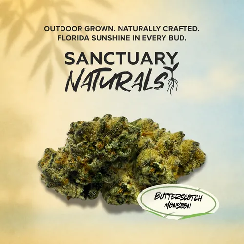 Butterscotch Monsoon Naturals - 3.5g by Sanctuary Medicinals - 3.500g Whole