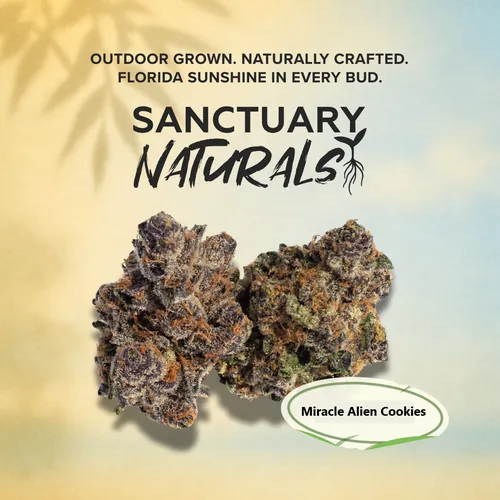 Sanctuary Naturals 3.5g Miracle Alien Cookies by Sanctuary Cannabis - 3.500g Whole