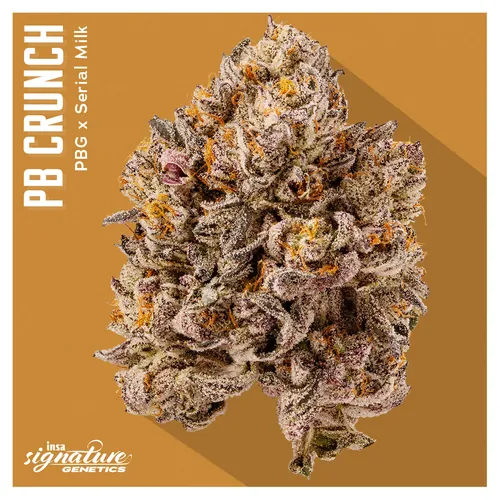 Flower - PB Crunch from  product image