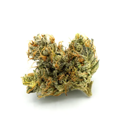 Northern Sensi Flower from  product image