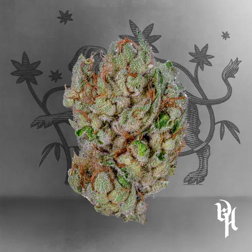 Ghost Og - 