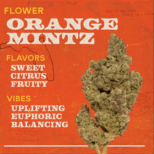 Orange Mintz 3.5g Flower Hybrid - 