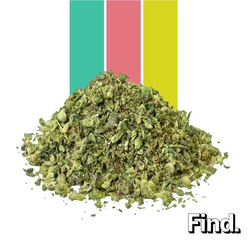 Collie Man Kush - 