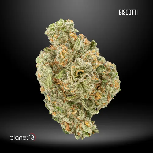 Biscotti Bx1 Tier 1 by Planet 13 - 7.000g Whole