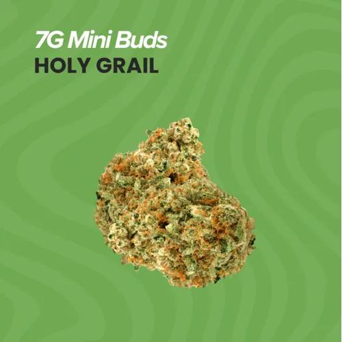 Buds Holy Grail - 