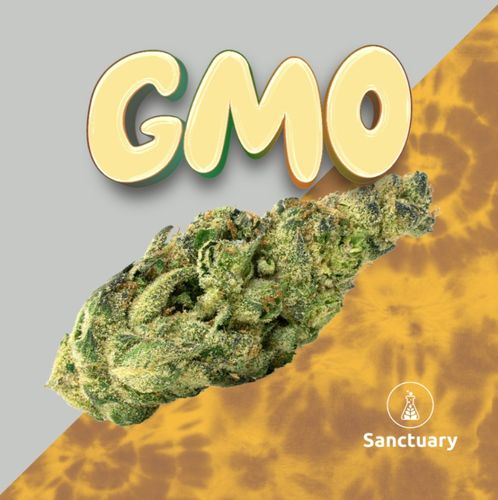 GMO - 