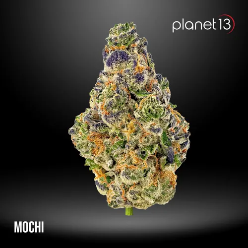 Mochi 3.5g Jar Tier 1 from  product image