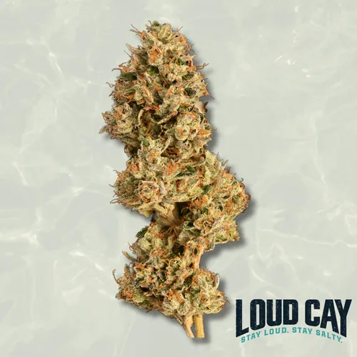 Orange Juice Mac by Loud Cay - 3.500g Whole