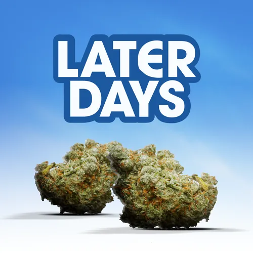 Mr. Nasty Flower from  product image