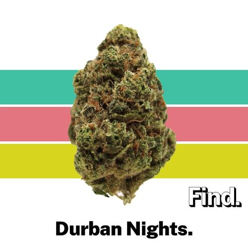 Durban Nights (S) - 