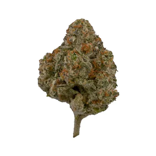Cheetah Piss by Knack - 3.500g Whole