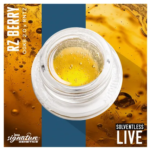 Live Rosin Magma - RZ Berry from  product image