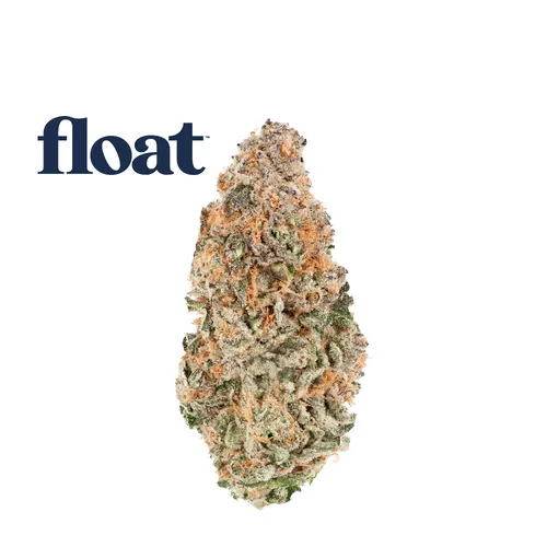 Mule Fuel from  product image