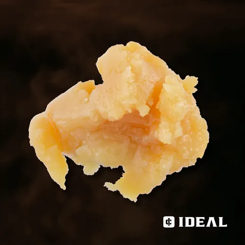 Citral Glue - 