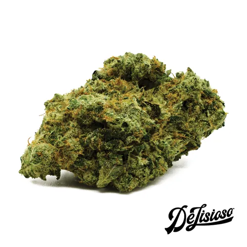 Flamingo Kush - 