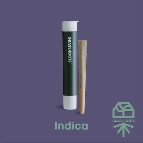 Indica Princess - 