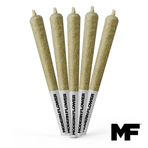 Jungle Cake - Preroll 5pk 1.75g by Modern Flower - 1.750g PreRoll