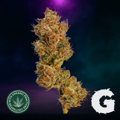 Blue Wave by G-Putt - 3.500g Whole