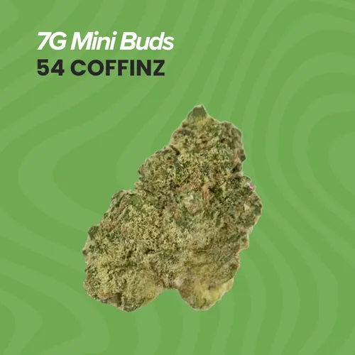 - Mini Buds - 54 Coffinz - 