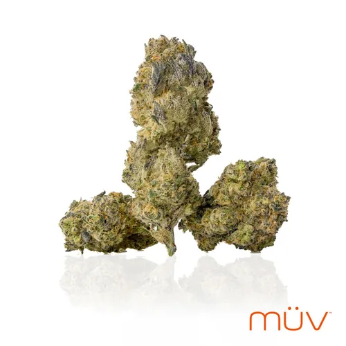  from  product image