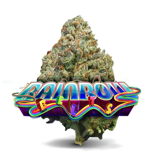 Rainbow Belts - Premium Flower