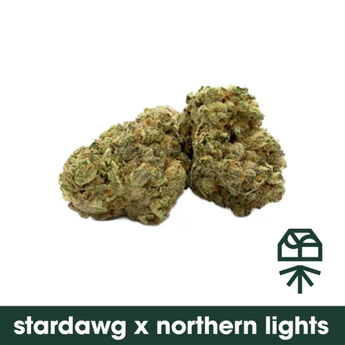 Stardawg x Northern Lights -  cannabis product