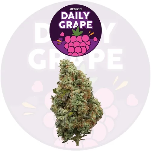 Daily Grape -  cannabis product