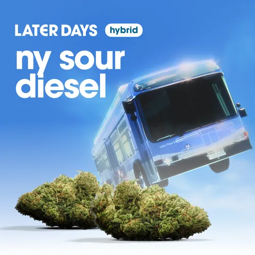 NY Sour Diesel Flower from  product image