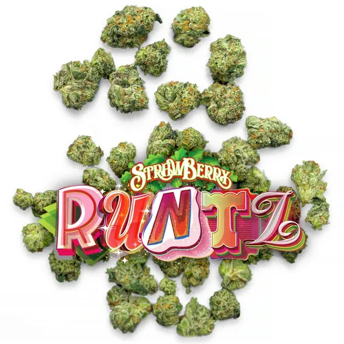 Strawberry Runtz - 