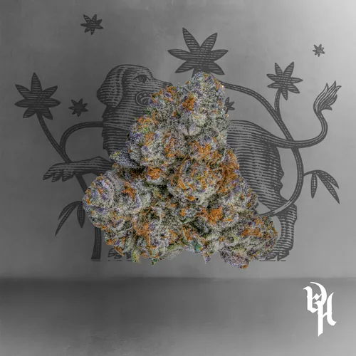 image of Red Cabernet