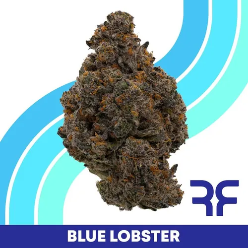 Blue Lobster -  cannabis product