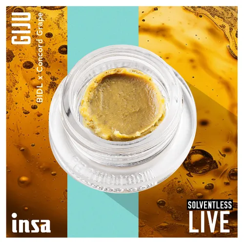 Live Rosin - GIJU from  product image