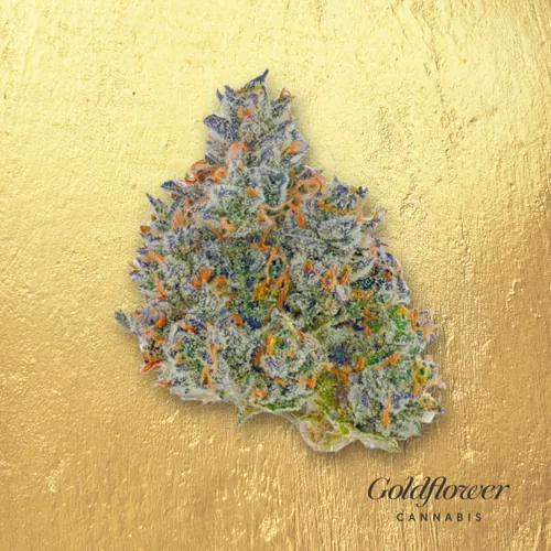 Black Cherry Fizz by Goldflower - 3.500g Whole