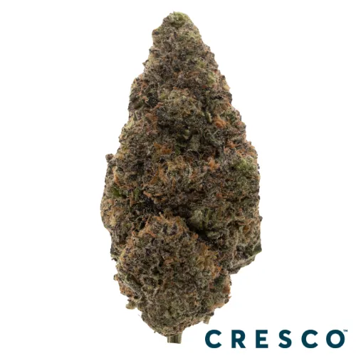 Supply Smalls 7g - LCZ (H) by Supply - 7.000g Smalls