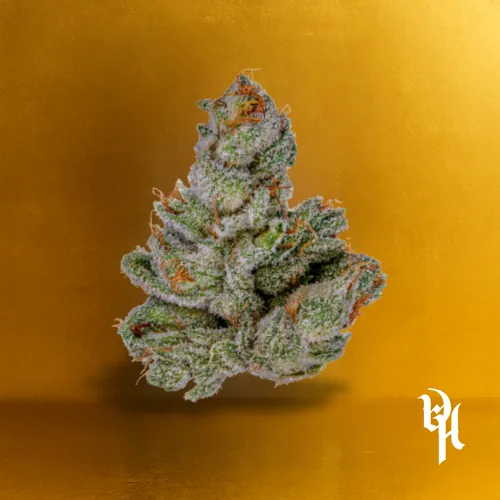 Headband - 